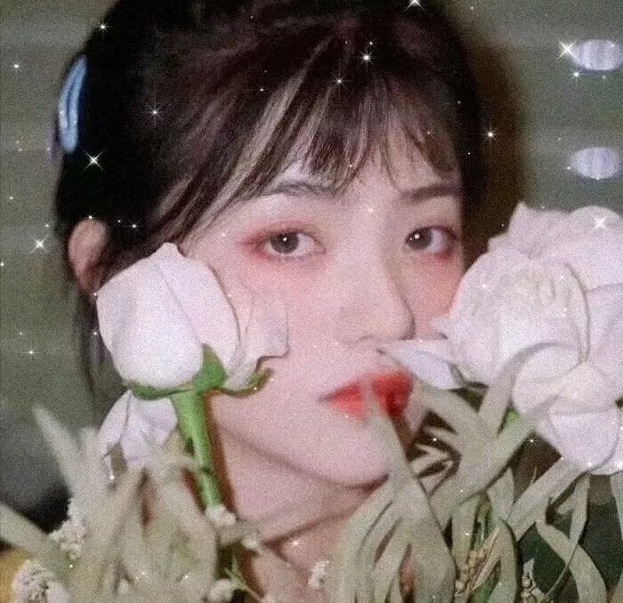 魔法公主的小烦恼
